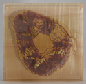 Fiber Art--Wall Hanging-AbstractProcess #3