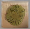 Fiber Art--Wall Hanging-AbstractProcess #5