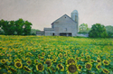 Sunflowers (thumbnail)