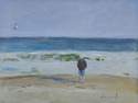 Beach%20Comber (thumbnail)