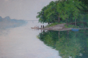 Shad%20Netting (thumbnail)