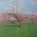 Emerging%20Spring (thumbnail)