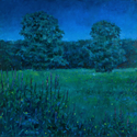 Fireflies%2C%20Carversville%20Field (thumbnail)