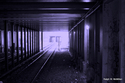 Light%20at%20the%20end%20of%20the%20Tunnel (thumbnail)
