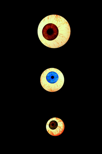 Eyes%20Series%20%23%202 (large view)