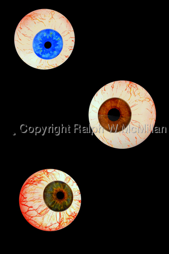 Eyes%20Serise%203 (large view)