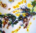 Propagation III