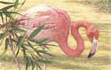 Wading Around Wading%20Around (thumbnail)