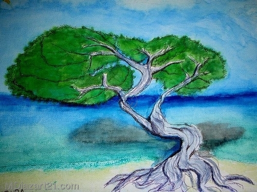 Painting-Botanical-aruba