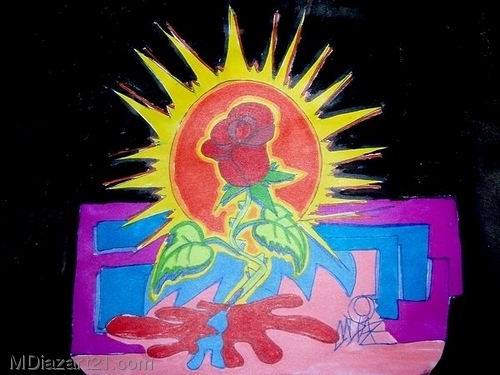 Drawing-Botanical-Red rose