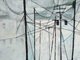 Painting--Oil-FigurativePower Lines