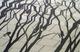 Painting--Oil-AnimalsBirds and Branches