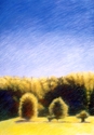 Landscape%20near%20La%20Feuillade%2C%20France%20%28Cat.%20No.%20215%29 (thumbnail)