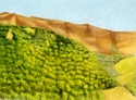 Landscape%20in%20Cantal%20Mountains%2C%20France%20%28Cat.%20No.%20216%29 (thumbnail)