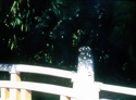 Bridge%20near%20Meiji%20Jinku%2C%20Tokyo%20%28Cat.%20No.%20235%29 (thumbnail)