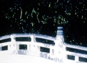 Bridge%20near%20Meiji%20Jinku%2C%20Tokyo%20%28Cat%20%23%20238%29 (thumbnail)