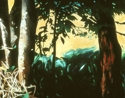 Trees%2C%20Auvergne%2C%20France%20%28Cat.%20No.%20232%29 (thumbnail)