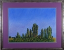 Near%20Montpellier%2C%20France%28Cat.%20No.%20367%29 (thumbnail)