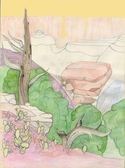 tree and canyon tree%20and%20canyon (thumbnail)