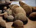 Beached Rocks