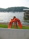 Photography-Lakeside BBQ and Art Excursion