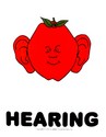 Fruit of the senses - Hearing