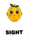 Fruit of the senses - Sight