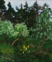 Arboretum (thumbnail)