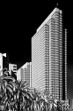 Embarcadero%20And%20Palms (thumbnail)