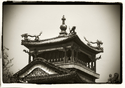 Dragon%20Roof%2C%20Forbidden%20City (thumbnail)
