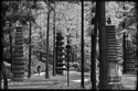 Pagoda%20Forest%2C%20Jiefang%20Park (thumbnail)