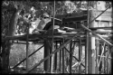 Construction%2C%20Yellow%20Crane%20Park (thumbnail)
