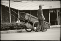 Handcart%20Operator (thumbnail)