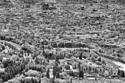 Florence%20Cityscape (thumbnail)