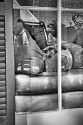 Dog%20in%20the%20Window (thumbnail)