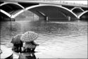 Fishing%20In%20The%20Rain (thumbnail)