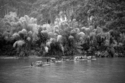 Wedding%20Party%2C%20Yang%20Shuo (thumbnail)