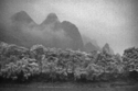Foggy%20Hills (thumbnail)
