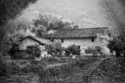 Country%20Living (thumbnail)