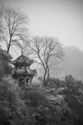 Riverside%20Pagoda (thumbnail)