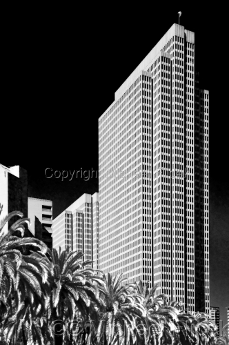 Embarcadero%20And%20Palms (large view)