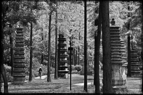 Park Workers