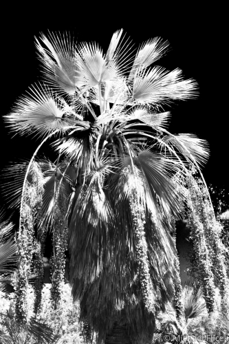 Balboa%20Park%209 (large view)