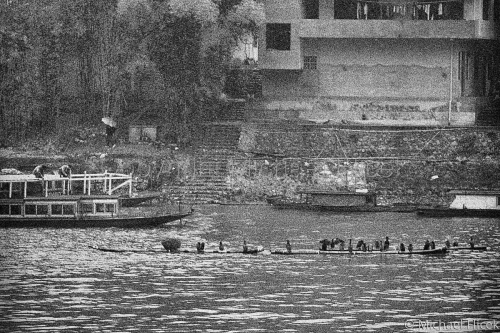 Fishermen%27s%20Cormorants (large view)