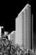 Photography-Embarcadero And Palms