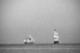 Photography--Black & White-SeascapeWooden Ships on the Water