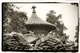 Photography--Black & White-ArchitectureForbidden City Garden