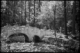 Photography--Black & White-NatureBridge And Worker, Botanical Gardens