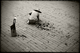 Photography--Black & White-PhotojournalismPulling Weeks, Forbidden City