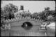 Photography--Black & White-NatureLeaf Removal, Jiefang Park